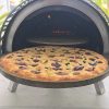 portable pizza oven